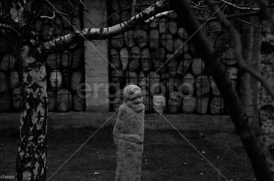 За решоткой