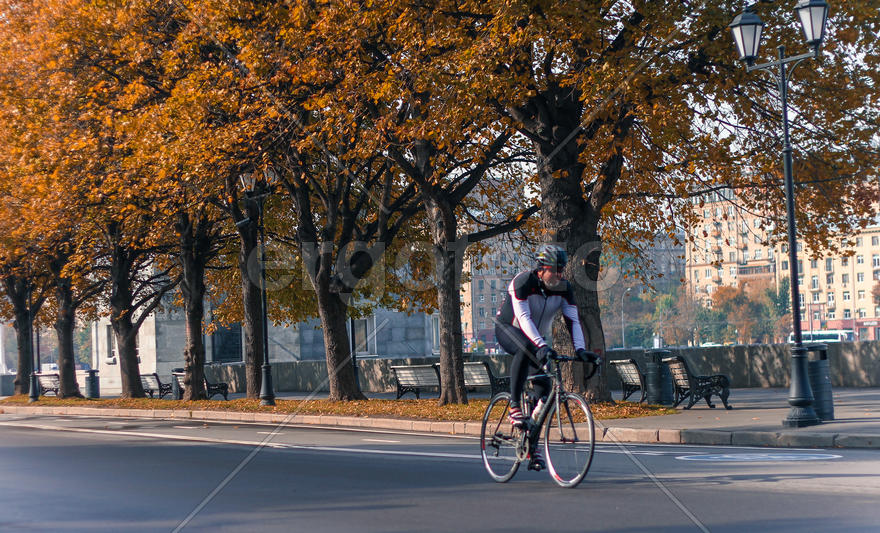 Велопрогулка