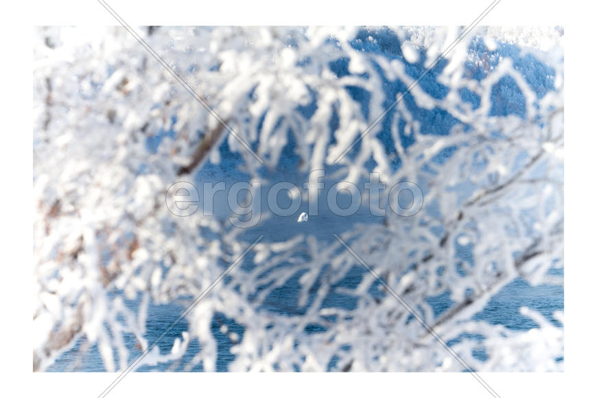 "Шаман камень"