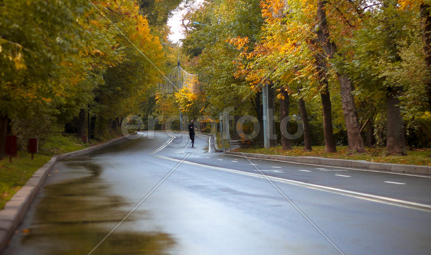 "Мокрая дорожка"