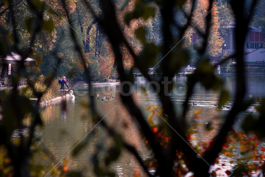 Кормление уток в парке Горького, Москва