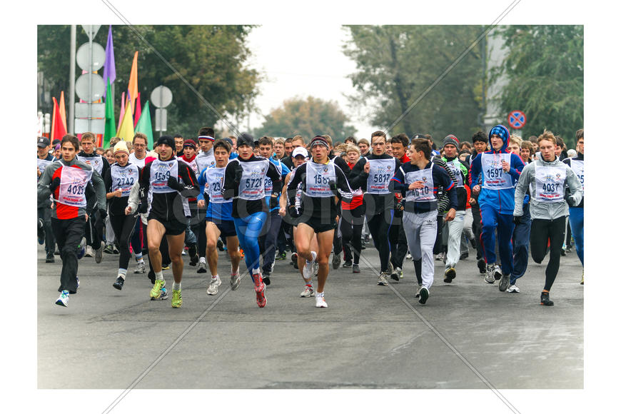 "Кросс нации"