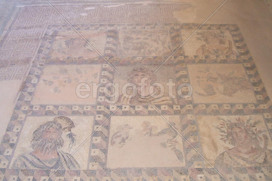 Изображение 088