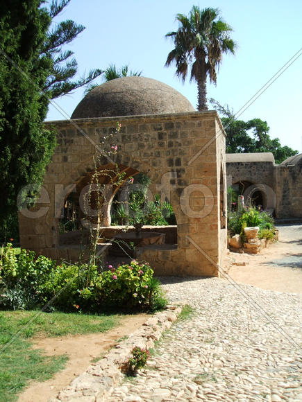 Изображение 014