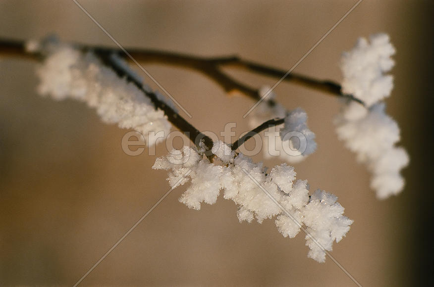 Нежность и беззащитность