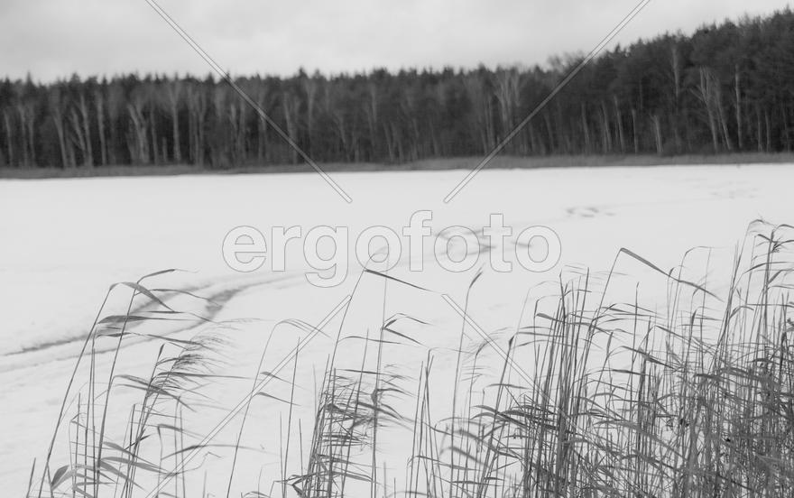 Зимний путь