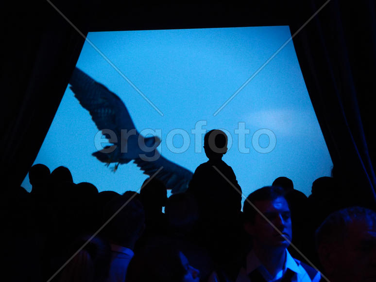 Мальчик и птица. На выставке