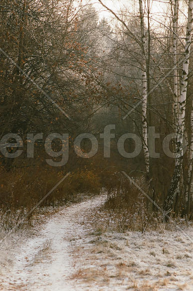 Зовущая в тайну