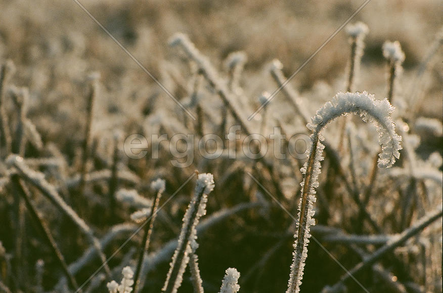 Неземные тайны