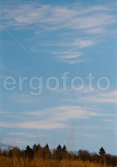 Дотянуться до неба!