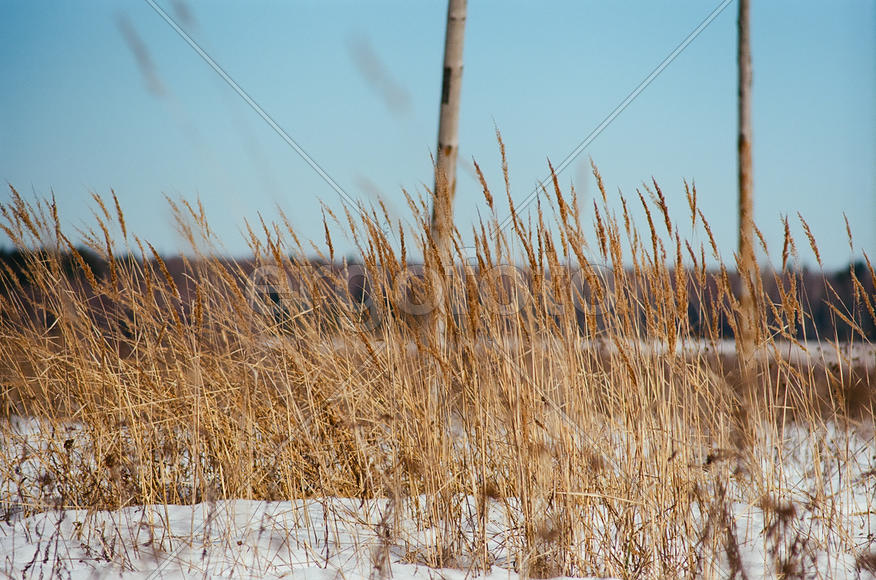 На поле в деревне