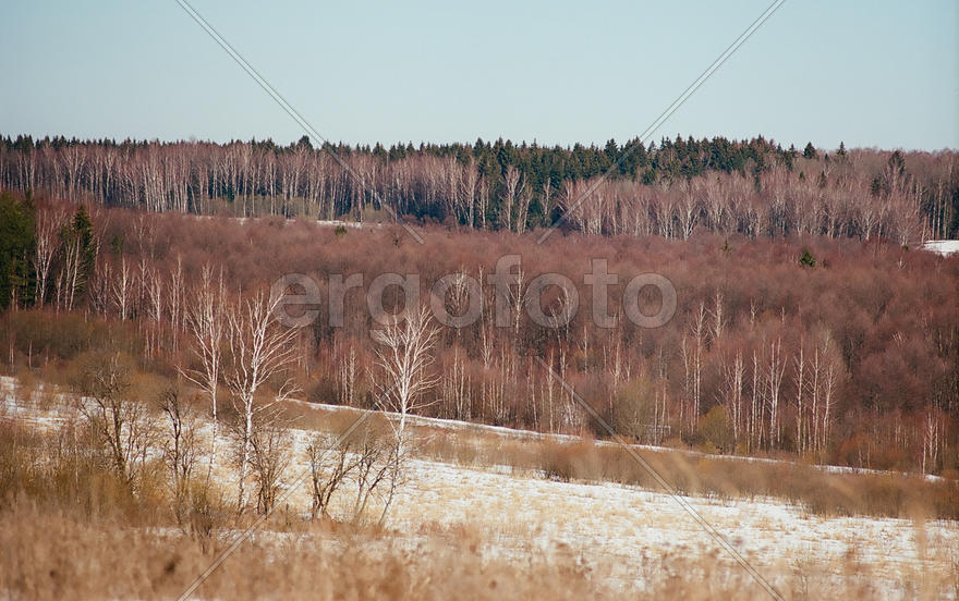 Пейзаж ранней весной
