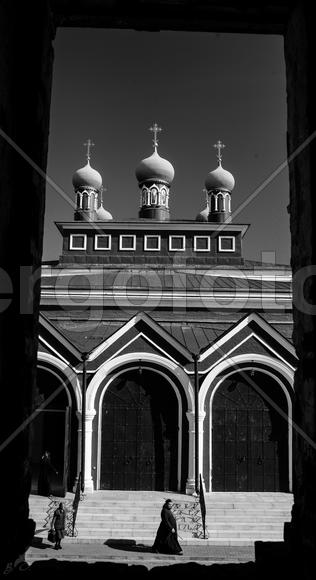 Николо-Радовицкий монастырь