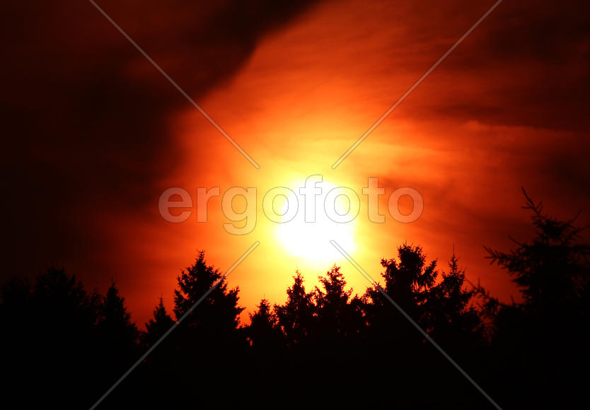 Перед бурей