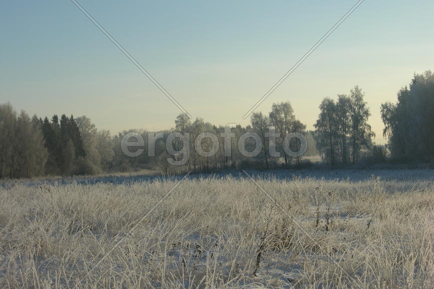 Зимняя природа