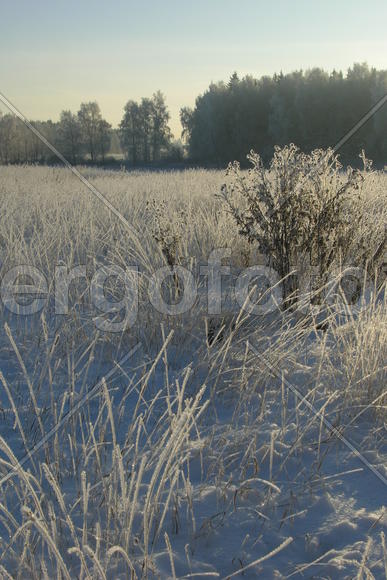 Зима, солнечный день, снег, иней