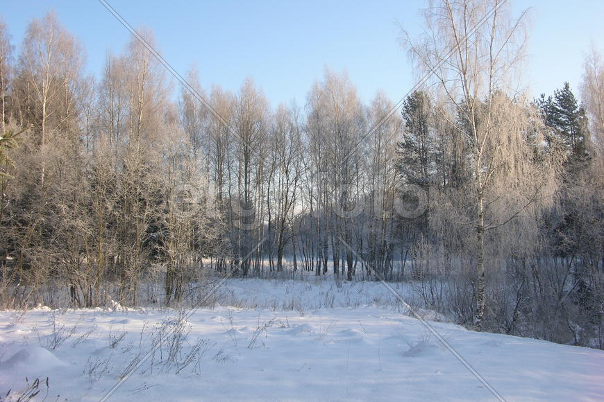 Зима, солнечный день, снег, иней