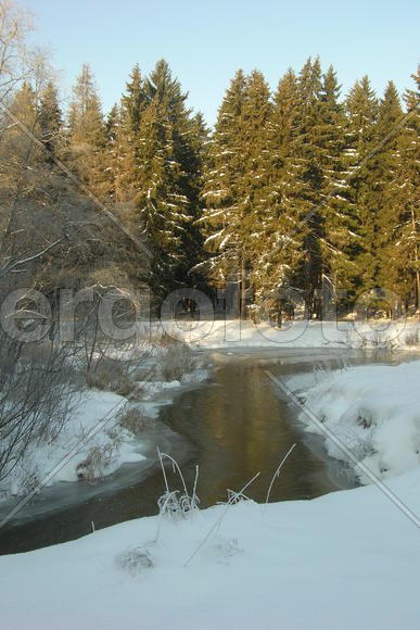 Зима, солнечный день, снег, иней
