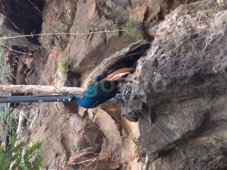 Во всей красе