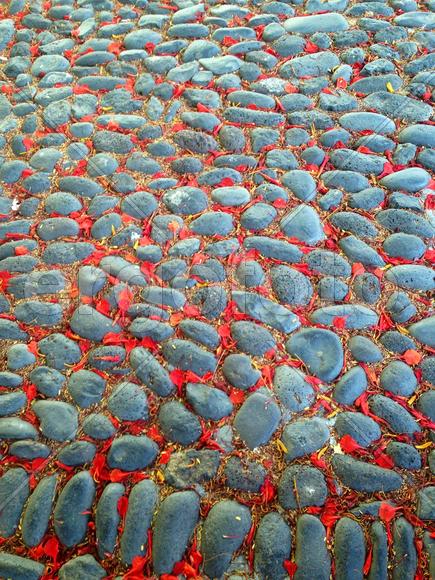 Весь мир к твоим ногам... 