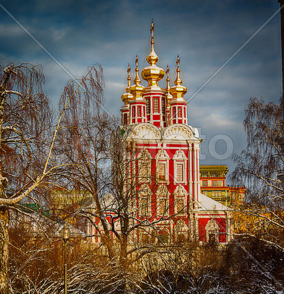 Новодевичий монастырь