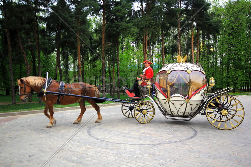 Карета в Дмитрове