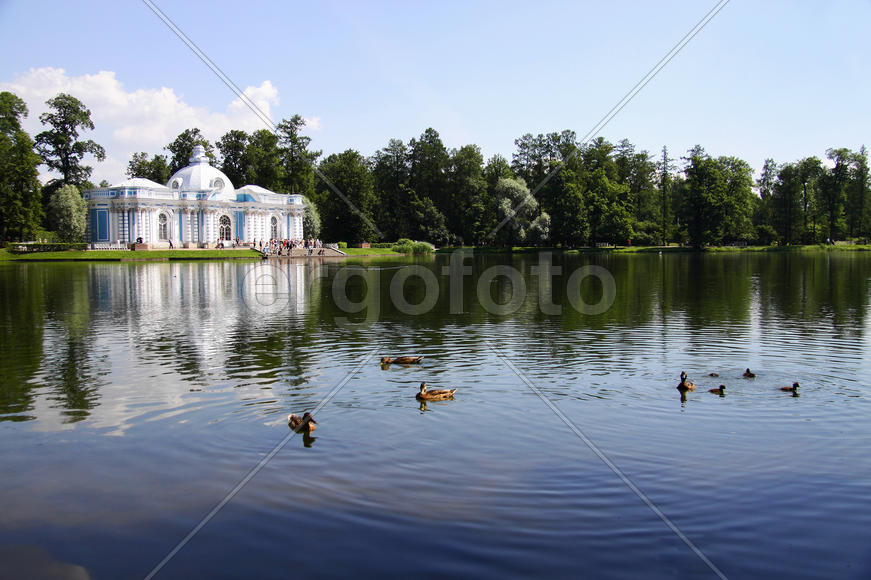 Утки на озере