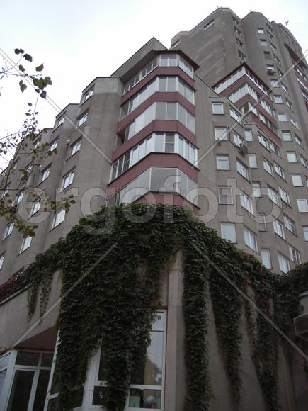 Высотка, обросшая плющом 