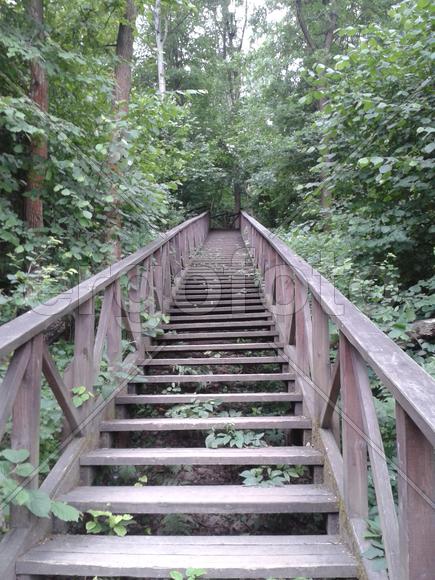 Лестница деревянная