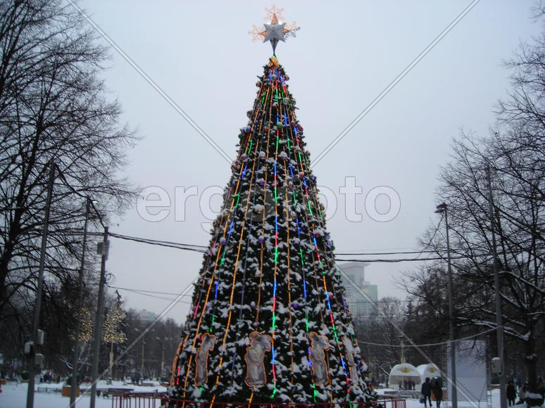 новогодняя ель на улице города