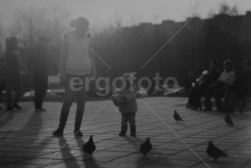 Ребенок и голуби