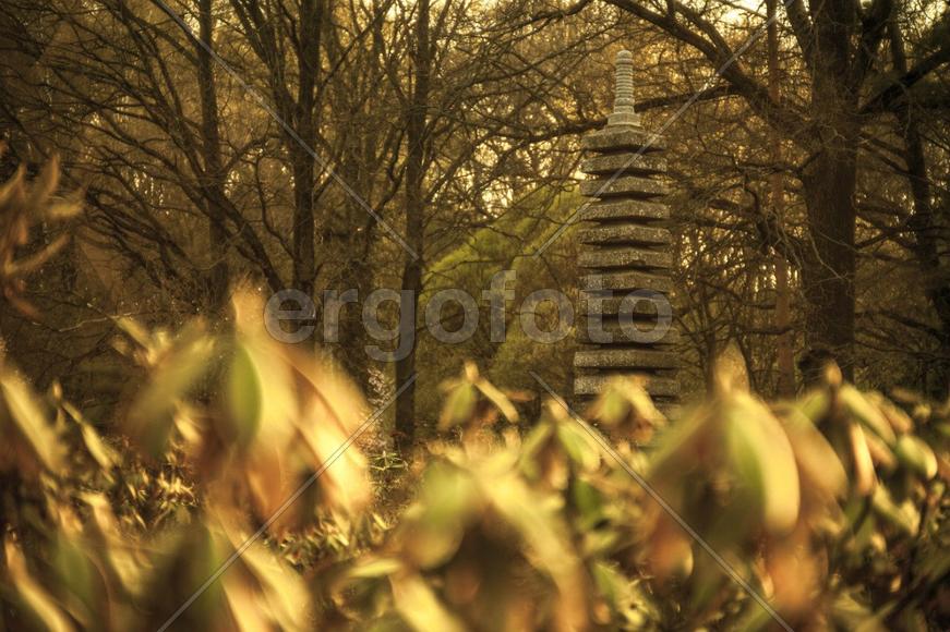 ботанический сад