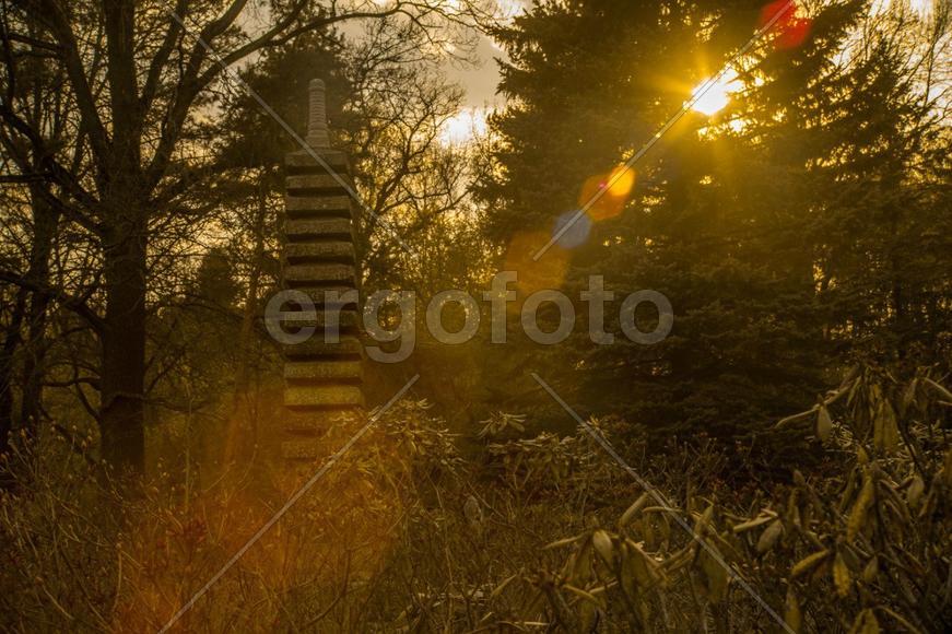 Ботанический сад