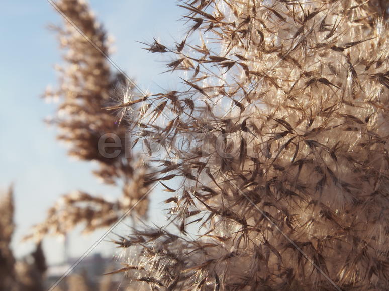 Скоро весна