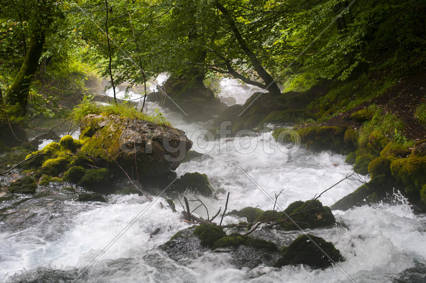 Бурная горная река