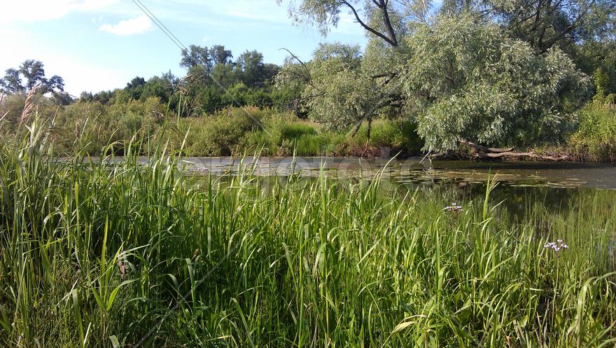 Река Сивинь 1