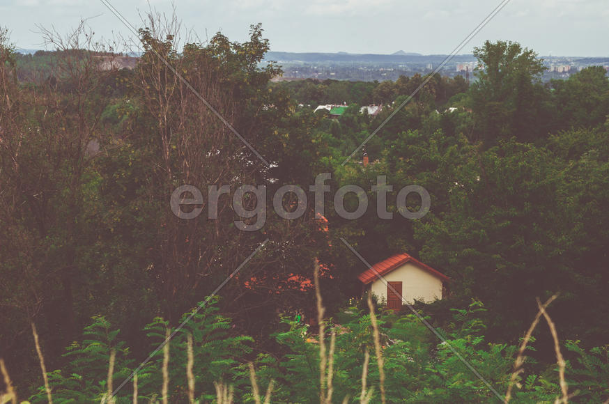 Домик в зарослях