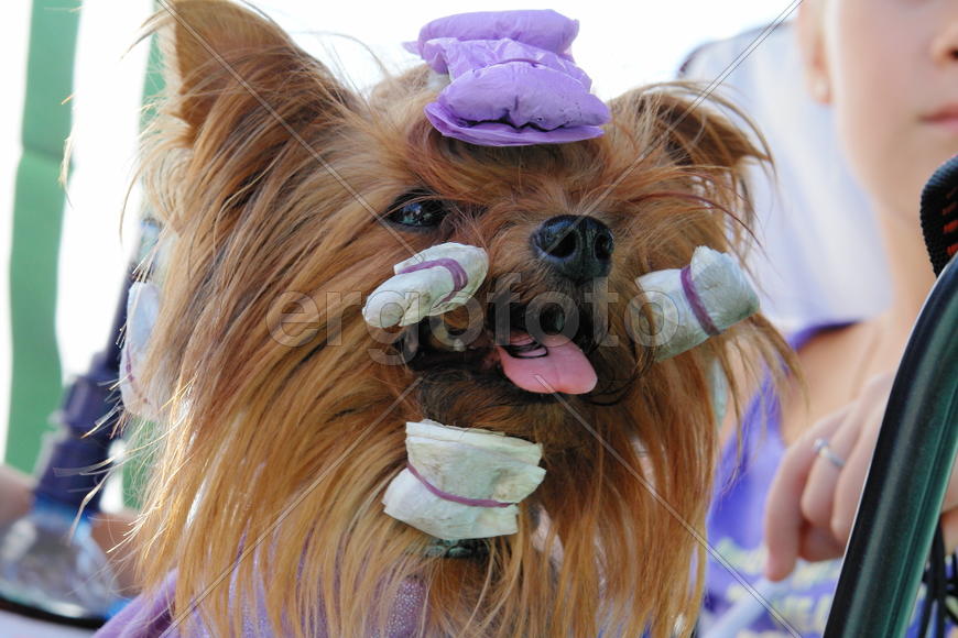 Красота - страшная сила!