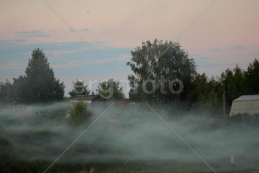 Туманное утро