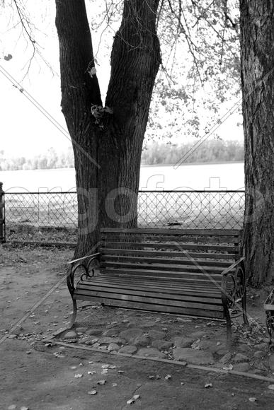 Черно-белый мир