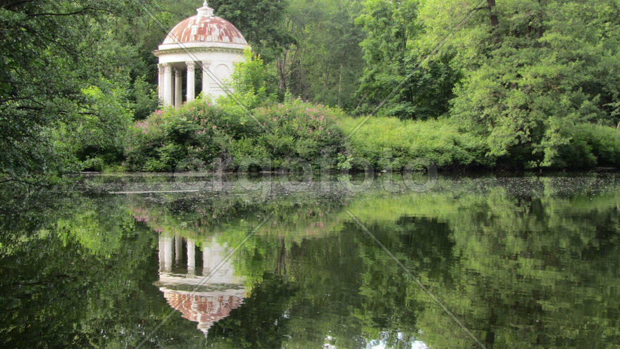 Пруд в воронцовском парке, 