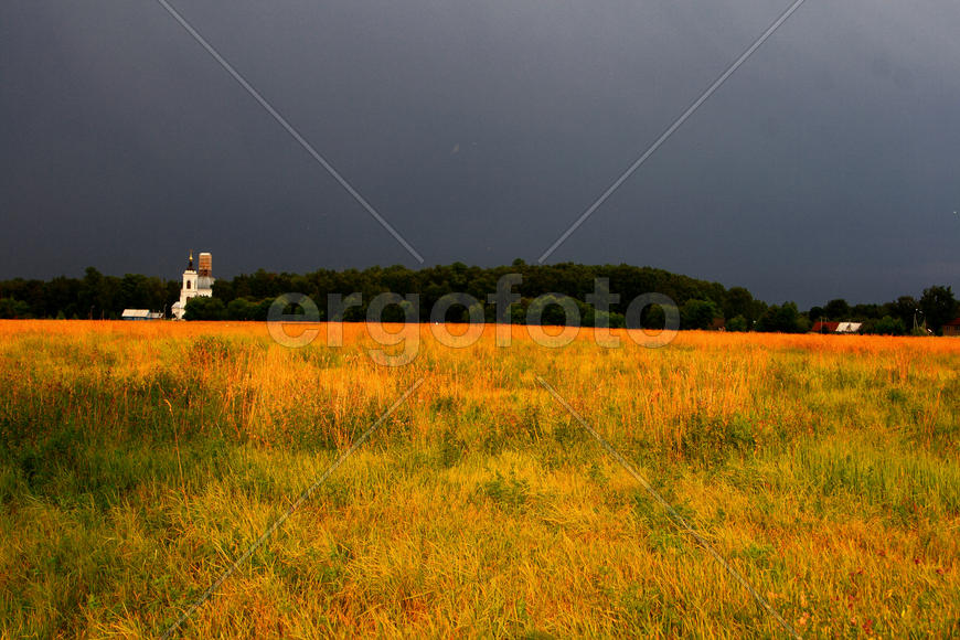 Перед дождем