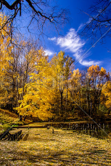 Яркие краски осени