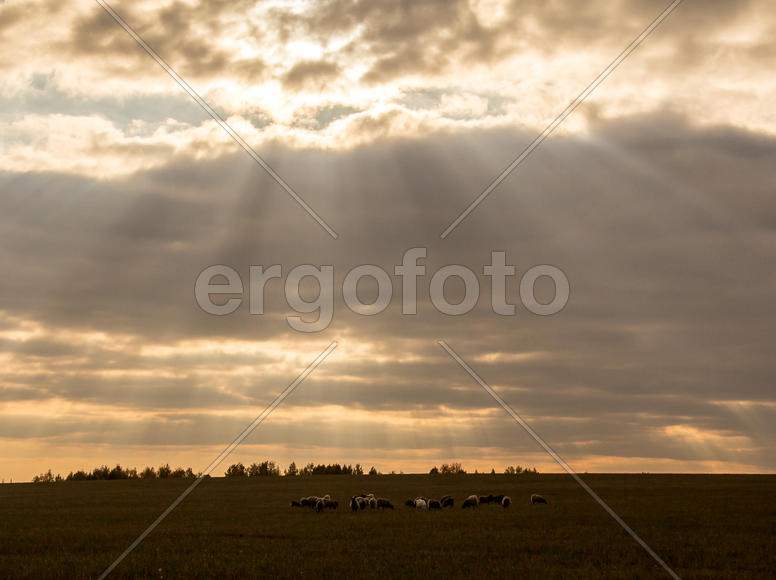 Солнце пробивается сквозь тучи