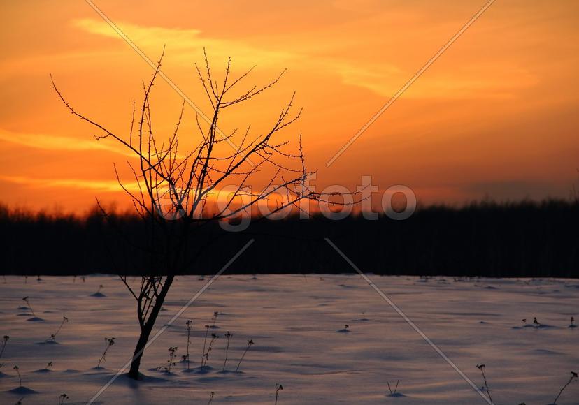 Зимний закат 