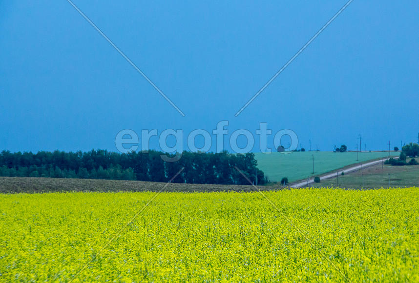 Бескрайние русские поля