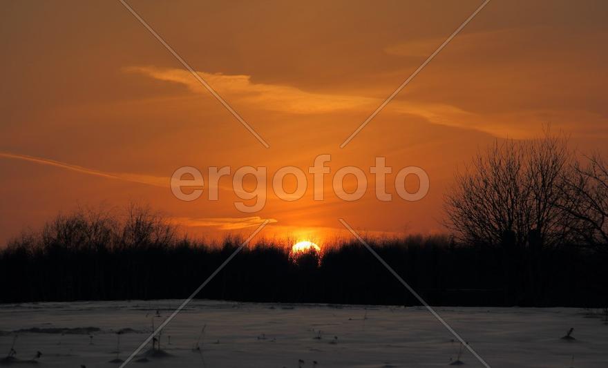 Зимний закат в лесу