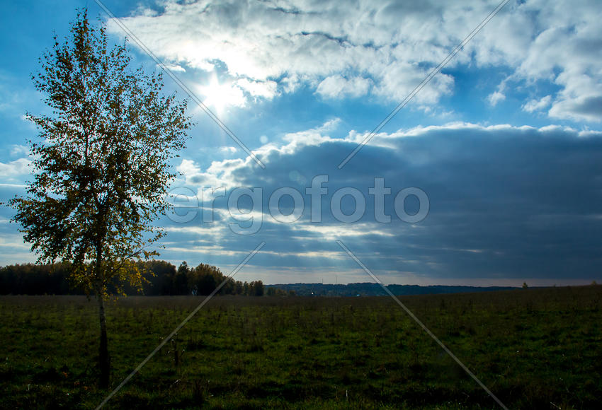 Солнце сквозь тучи