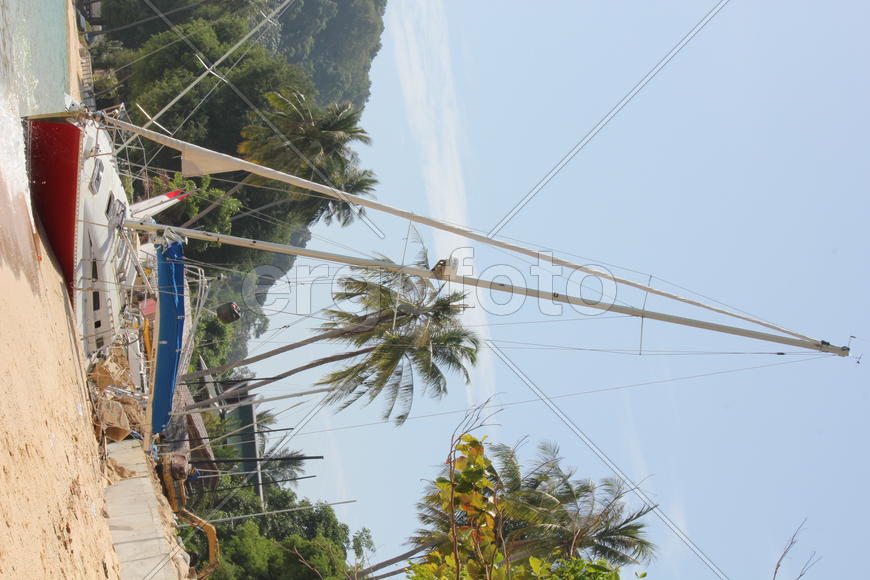 Прибило к берегу