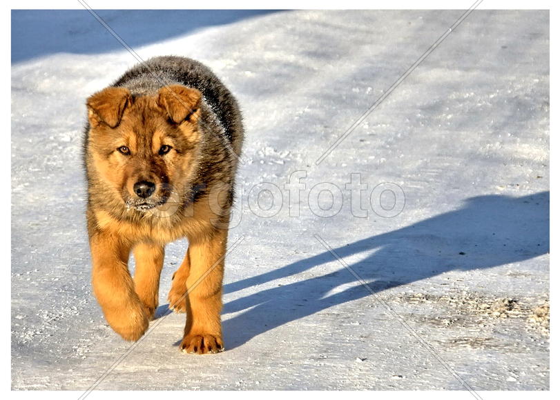 Вдоль по дороге...